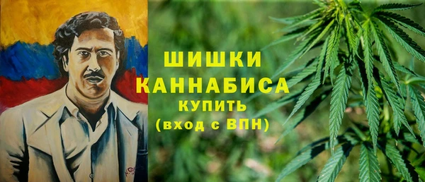 трава Чекалин