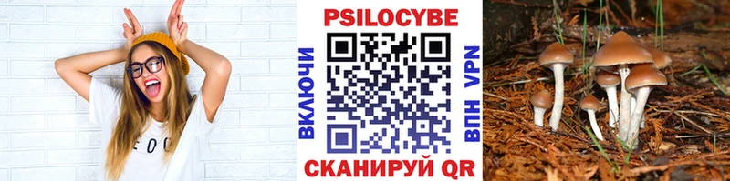 Псилоцибиновые грибы MAGIC MUSHROOMS  Ядрин 